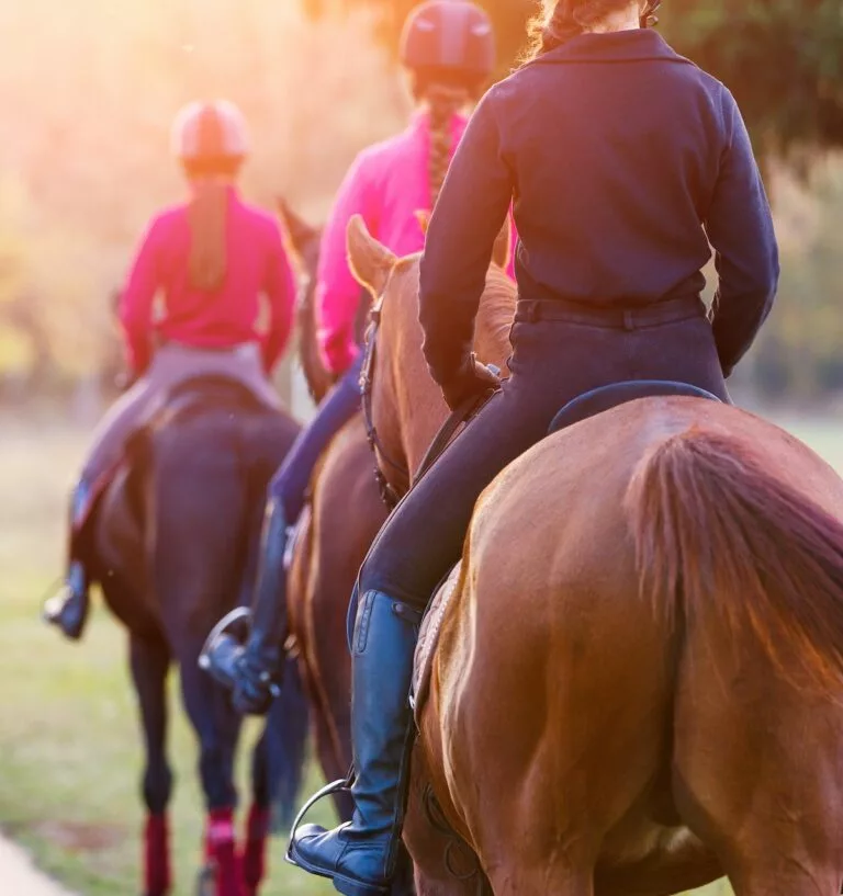 équitation sport à Saint-Hubert